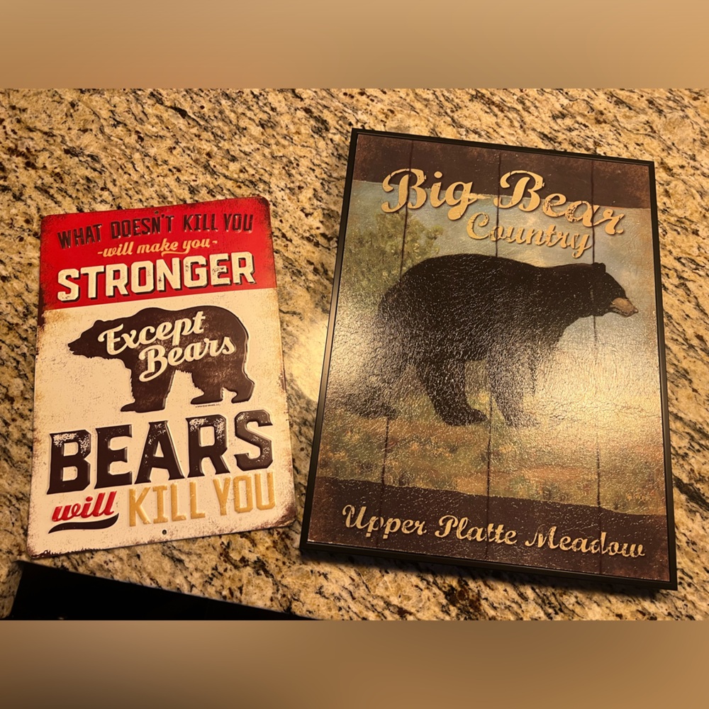 Set of 2 bear pics 🐻